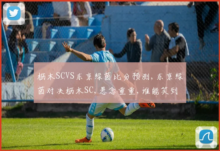 枥木SCVS东京绿茵比分预测,东京绿茵对决枥木SC,悬念重重,谁能笑到最后