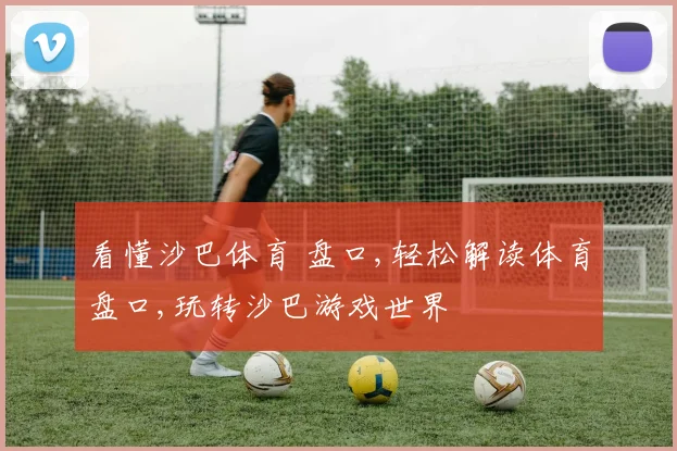 看懂沙巴体育 盘口,轻松解读体育盘口,玩转沙巴游戏世界